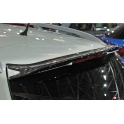 Οπίσθια carbon αεροτομή οροφής της Stile Italia για Alfa Romeo 159 Sportwagon (Type 939)